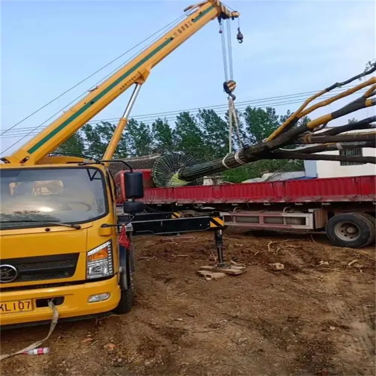 荆门100吨吊车租赁费用怎么算？3大关键因素+省钱技巧全解析